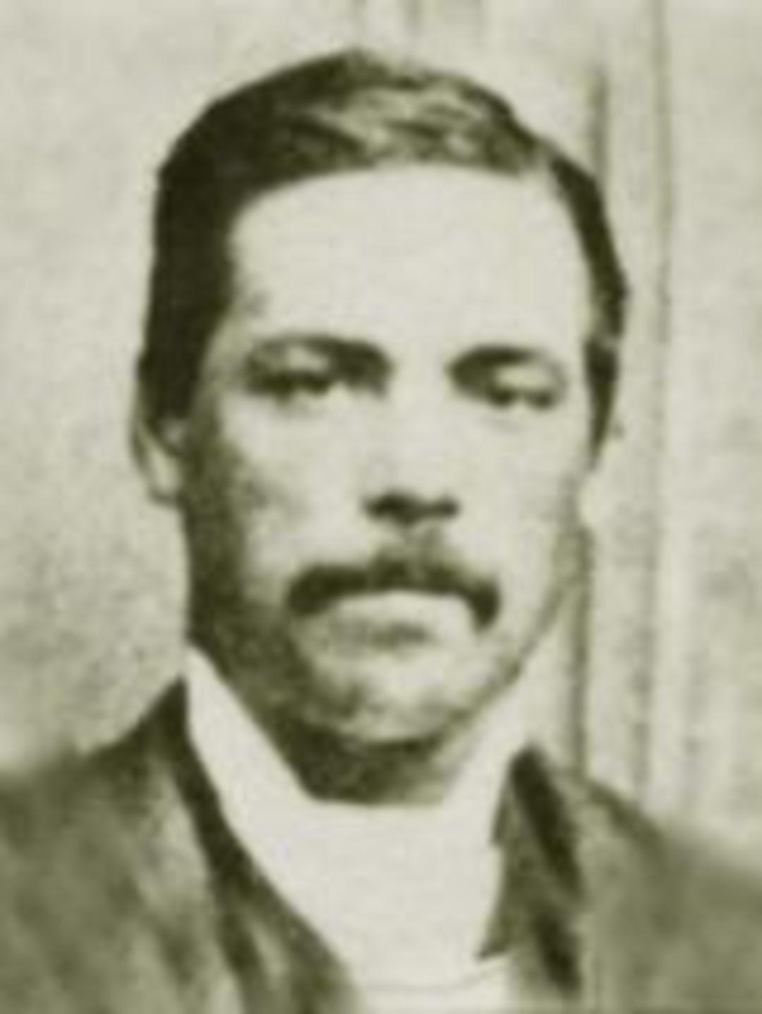 Francis Whitehead (1849 - 1917) Profile